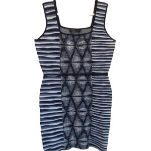 Bcbg Maxazaria Bodycon Knit Tank Dress Size L